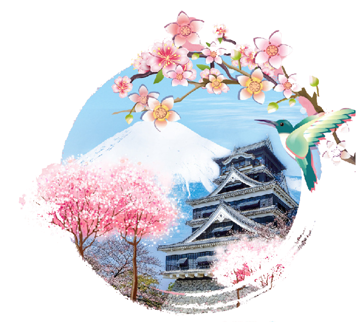 Top IPTV Provider in Japan